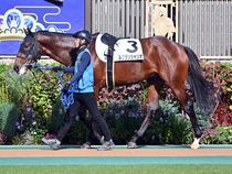 ����å��ǳ��������ɽ�����ޤ�