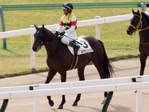 ����å��ǳ��������ɽ�����ޤ�