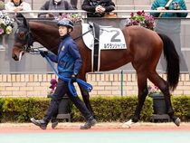 ����å��ǳ��������ɽ�����ޤ�