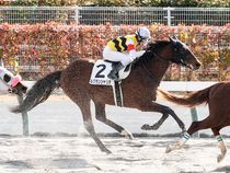 ����å��ǳ��������ɽ�����ޤ�