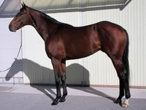 ����å��ǳ��������ɽ�����ޤ�