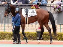 ����å��ǳ��������ɽ�����ޤ�