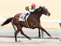 ����å��ǳ��������ɽ�����ޤ�