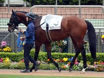 ����å��ǳ��������ɽ�����ޤ�