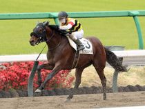 ����å��ǳ��������ɽ�����ޤ�