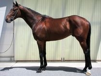 ����å��ǳ��������ɽ�����ޤ�