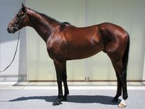 ����å��ǳ��������ɽ�����ޤ�