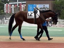 ����å��ǳ��������ɽ�����ޤ�