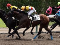 ����å��ǳ��������ɽ�����ޤ�