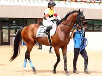 ����å��ǳ��������ɽ�����ޤ�