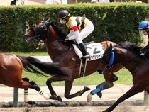 ����å��ǳ��������ɽ�����ޤ�