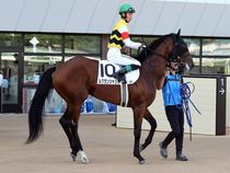 ����å��ǳ��������ɽ�����ޤ�