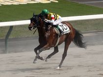 ����å��ǳ��������ɽ�����ޤ�