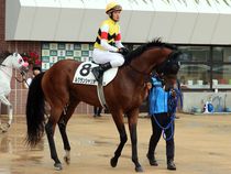 ����å��ǳ��������ɽ�����ޤ�