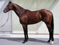 ����å��ǳ��������ɽ�����ޤ�