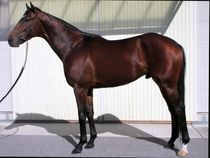 ����å��ǳ��������ɽ�����ޤ�