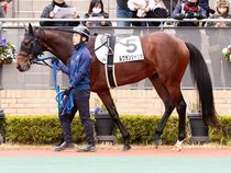 ����å��ǳ��������ɽ�����ޤ�