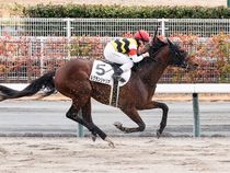 ����å��ǳ��������ɽ�����ޤ�