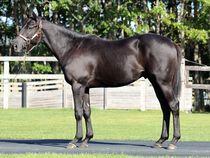 ����å��ǳ��������ɽ�����ޤ�