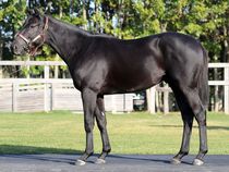 ����å��ǳ��������ɽ�����ޤ�