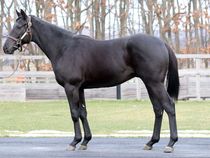 ����å��ǳ��������ɽ�����ޤ�