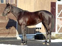 ����å��ǳ��������ɽ�����ޤ�