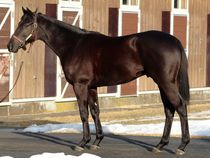 ����å��ǳ��������ɽ�����ޤ�