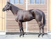 ����å��ǳ��������ɽ�����ޤ�