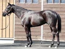 ����å��ǳ��������ɽ�����ޤ�