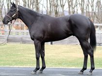 ����å��ǳ��������ɽ�����ޤ�