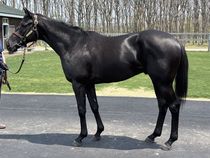 ����å��ǳ��������ɽ�����ޤ�