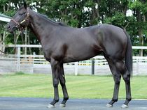 ����å��ǳ��������ɽ�����ޤ�