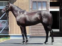 ����å��ǳ��������ɽ�����ޤ�