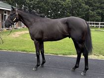 ����å��ǳ��������ɽ�����ޤ�