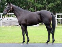 ����å��ǳ��������ɽ�����ޤ�