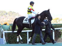 ����å��ǳ��������ɽ�����ޤ�