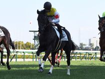 ����å��ǳ��������ɽ�����ޤ�