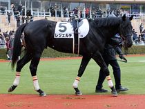 ����å��ǳ��������ɽ�����ޤ�