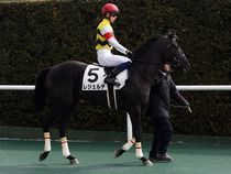 ����å��ǳ��������ɽ�����ޤ�