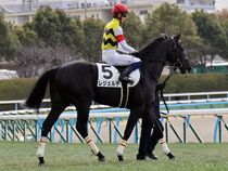 ����å��ǳ��������ɽ�����ޤ�