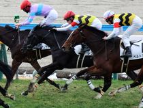 ����å��ǳ��������ɽ�����ޤ�