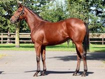 ����å��ǳ��������ɽ�����ޤ�