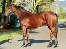 ����å��ǳ��������ɽ�����ޤ�