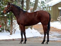 ����å��ǳ��������ɽ�����ޤ�