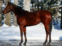 ����å��ǳ��������ɽ�����ޤ�