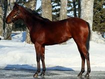 ����å��ǳ��������ɽ�����ޤ�