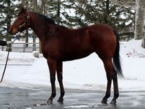 ����å��ǳ��������ɽ�����ޤ�