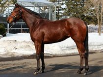 ����å��ǳ��������ɽ�����ޤ�