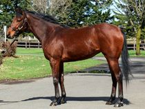 ����å��ǳ��������ɽ�����ޤ�