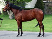 ����å��ǳ��������ɽ�����ޤ�